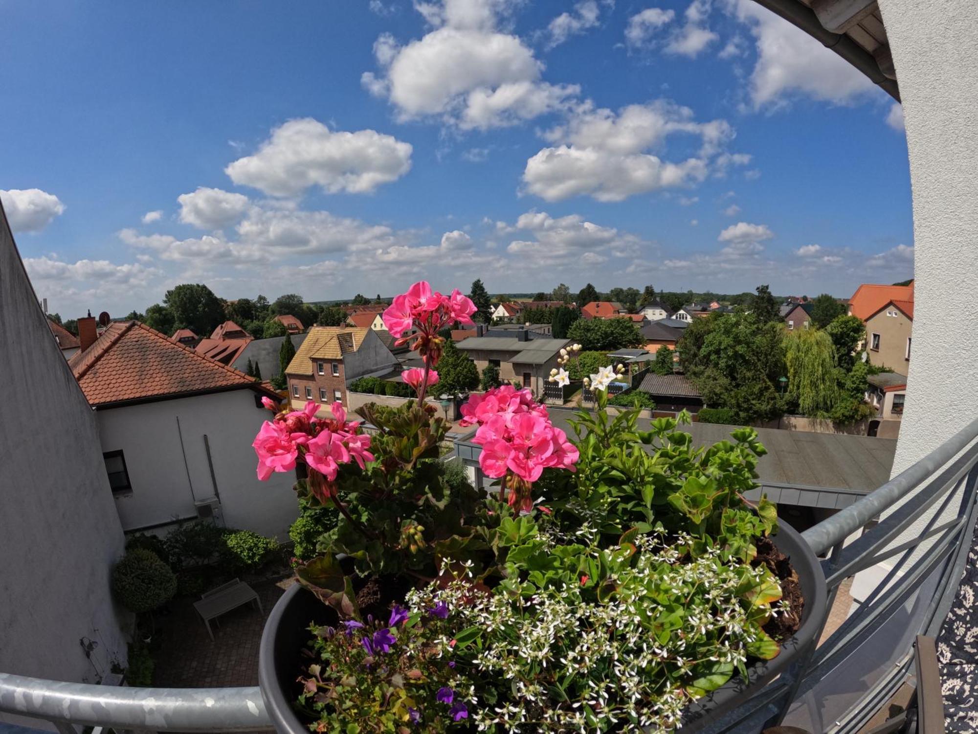 Ferienwohnung Ausblick Bad Düben Dış mekan fotoğraf